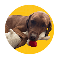 Copper — Data Sniffer - ProIQ